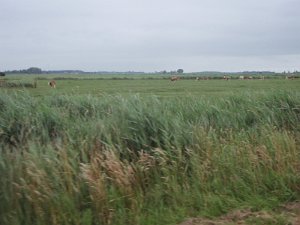 Mitternacht-Radmarathon 263